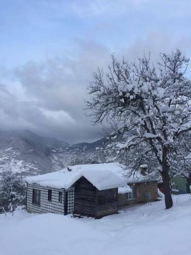 Maçka Zaferli Köyü Resimleri 4