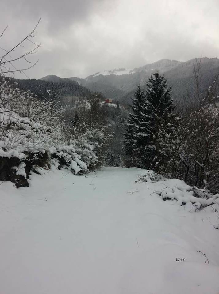 Maçka Zaferli Köyü Resimleri 7