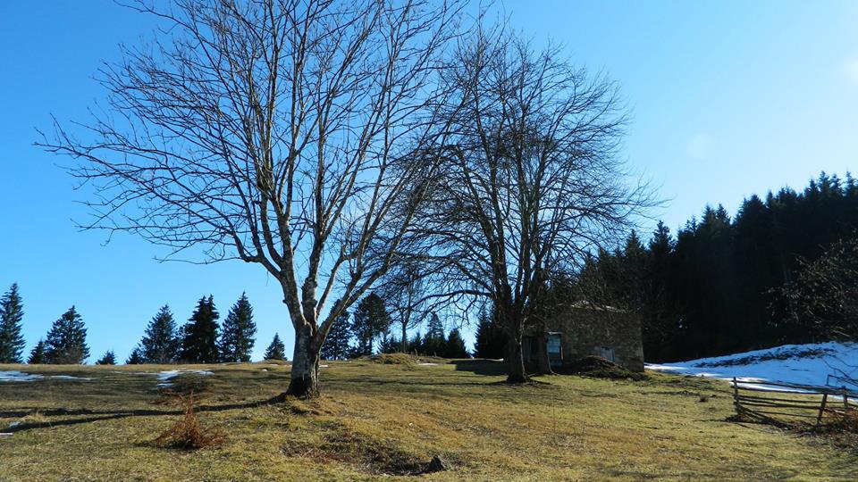 Maçka Zaferli Köyü Resimleri 9