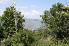 Alpu Gökçekaya Köyü Resimleri 5