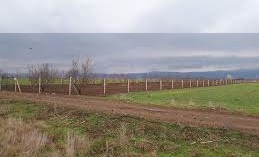 Alpu Karakamış Köyü Resimleri 4