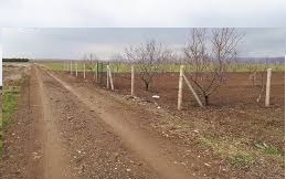 Alpu Karakamış Köyü Resimleri 6