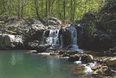 Alpu Özdenk Köyü Resimleri 11