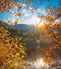 Alpu Sakarıkaracaören Köyü Resimleri 10