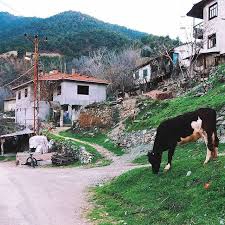 Alpu Sakarıkaracaören Köyü Resimleri 2