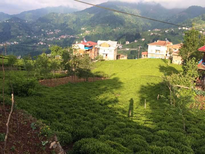 Of Bölümlü Köyü Resimleri 11