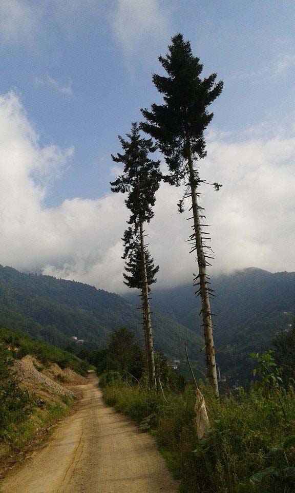 Of Bölümlü Köyü Resimleri 24