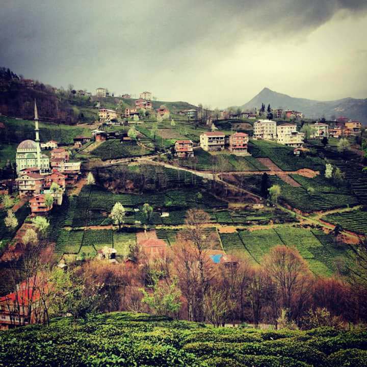 Of Bölümlü Köyü Resimleri 5