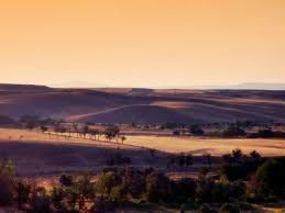Alpu Uyuzhamamköyü Köyü Resimleri 1