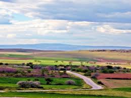 Alpu Uyuzhamamköyü Köyü Resimleri 2