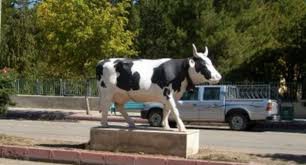 Beylikova Akköprü Köyü Resimleri 2