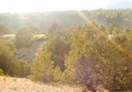 Beylikova Aşağıdudaş Köyü Resimleri 10