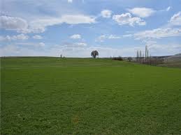 Beylikova Aşağıdudaş Köyü Resimleri 6