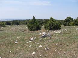 Beylikova Aşağıdudaş Köyü Resimleri 8