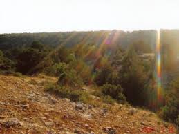 Beylikova Aşağıdudaş Köyü Resimleri 9