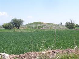 Beylikova Aşağıiğdeağacı Köyü Resimleri 1