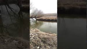 Beylikova Aşağıiğdeağacı Köyü Resimleri 4