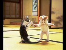 Beylikova Gökçeayva Köyü Resimleri 4