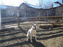 Beylikova Halilbağı Köyü Resimleri 7