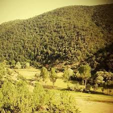 Beylikova İkipınar Köyü Resimleri 2