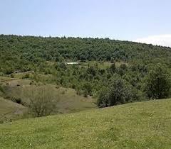 Beylikova İkipınar Köyü Resimleri 6