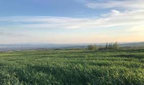 Beylikova Kızılcaören Köyü Resimleri 3