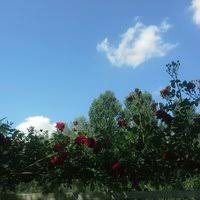 Beylikova Okçu Köyü Resimleri 10