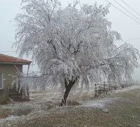 Beylikova Okçu Köyü Resimleri 2