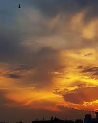 Beylikova Yalınlı Köyü Resimleri 1