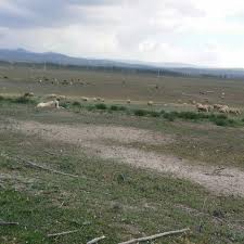 Beylikova Yeniyurt Köyü Resimleri 7