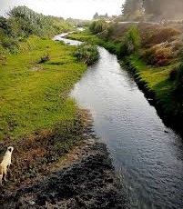 Beylikova Yeniyurt Köyü Resimleri 8