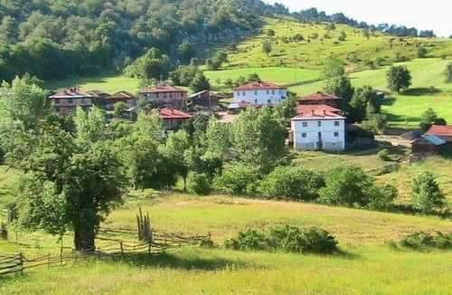 Devrekani Çavuşlu Köyü Resimleri 2