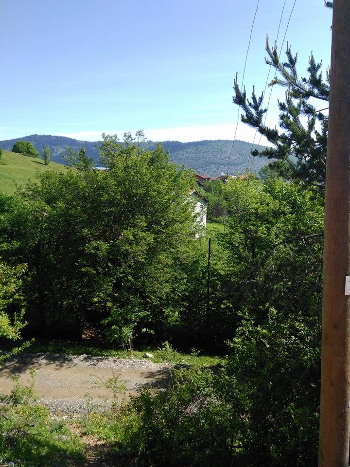 Devrekani Çavuşlu Köyü Resimleri 6