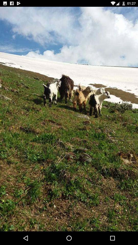 Of Ağaçseven Köyü Resimleri 65