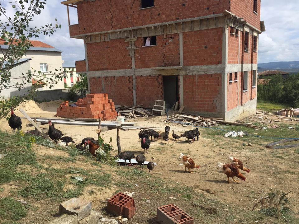 Devrekani Doğuörcünler Köyü Resimleri 3