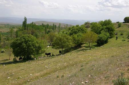 Amasya Boğaköy Resimleri 15