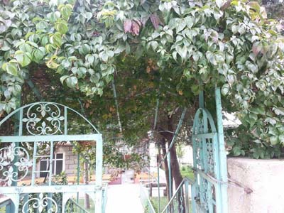 Amasya Boğaköy Resimleri 2