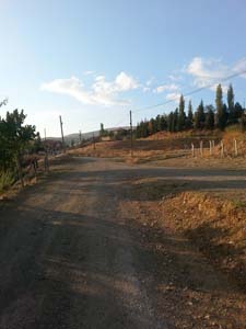 Amasya Boğaköy Resimleri 5