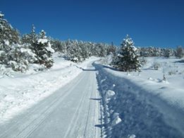 Devrekani Kuzköy Köyü Resimleri 2