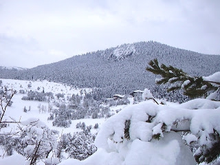 Devrekani Sarıyonca Köyü Resimleri 3