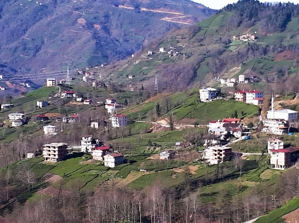 Of Uğurlu Köyü Resimleri 14