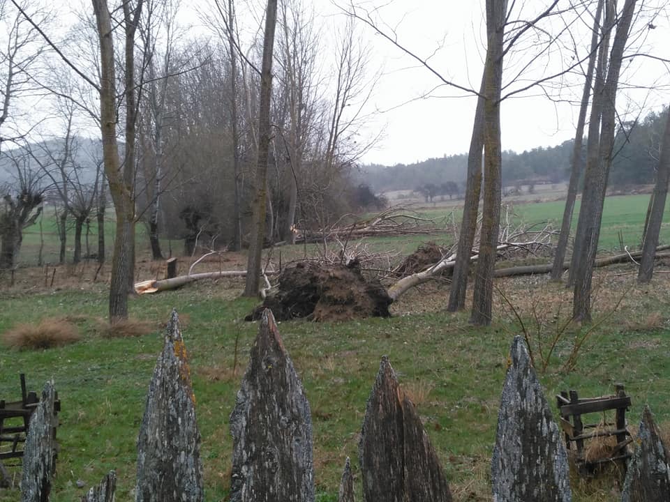 Devrekani Tekkekızıllar Köyü Resimleri 6
