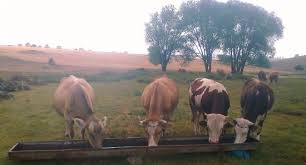 Han Akdere Köyü Resimleri 6