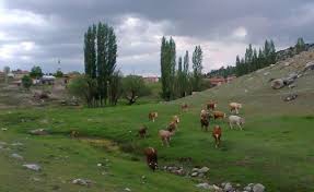 Han Akdere Köyü Resimleri 7