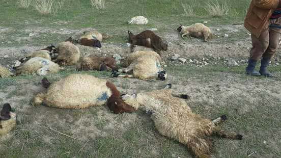 Of Gürpınar Köyü Resimleri 1