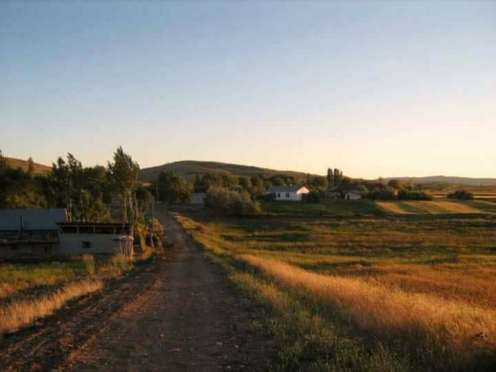 Of Gürpınar Köyü Resimleri 11