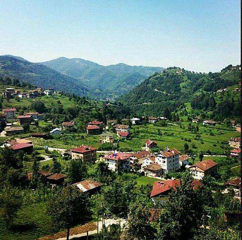 Of Gürpınar Köyü Resimleri 15