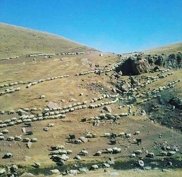 Of Gürpınar Köyü Resimleri 17