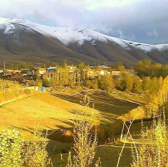 Of Gürpınar Köyü Resimleri 19