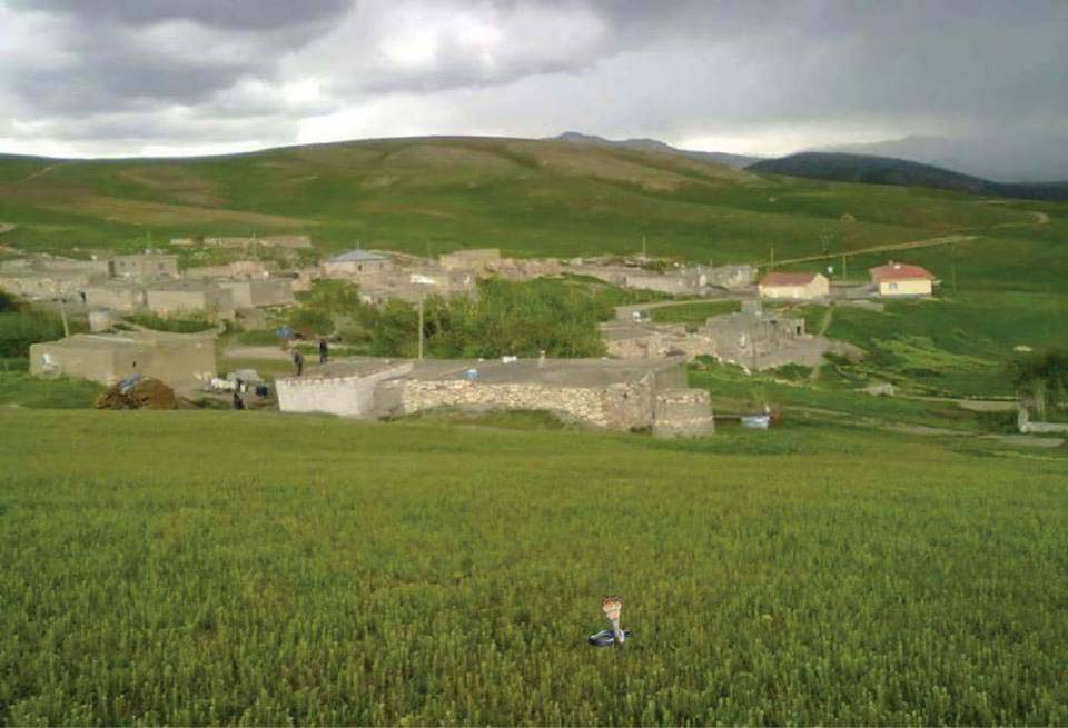 Of Gürpınar Köyü Resimleri 22